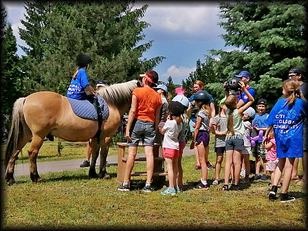 Tłum dzieci czeka w kolejce na przejażżkę na koniu